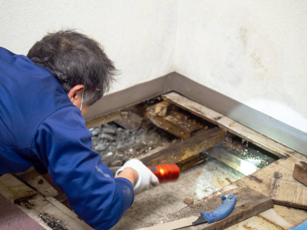 Best Water Damage Restoration  in Lake Barcroft, VA