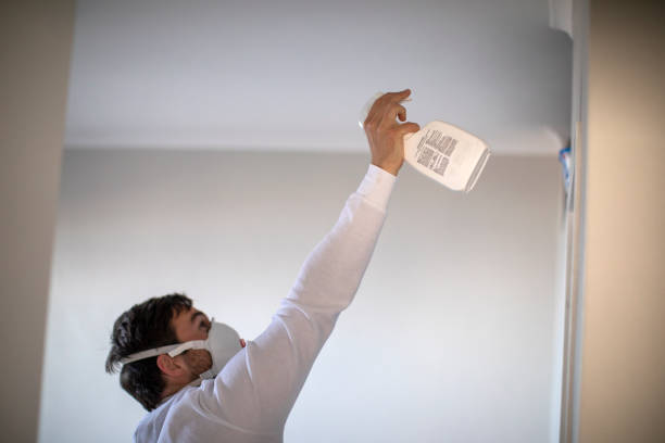 Best Local Mold Removal Service  in Lake Barcroft, VA