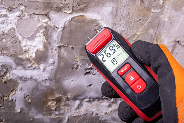 Professional Mold Removal in Lake Barcroft, VA