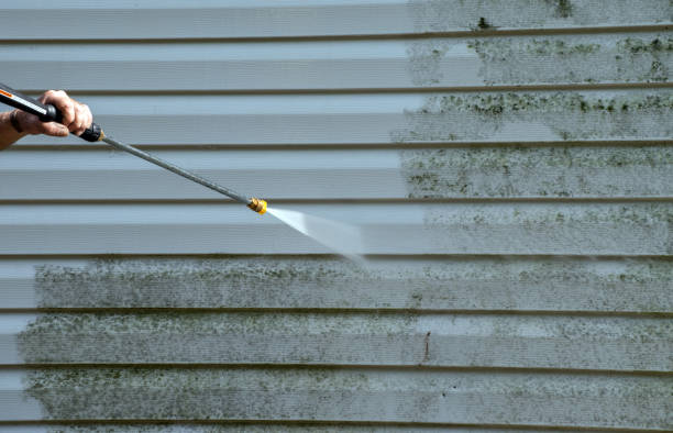 Best Mold Removal Company Near Me  in Lake Barcroft, VA