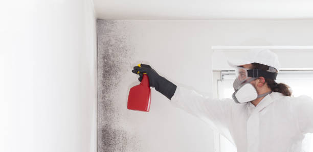 Mold Removal Process in Lake Barcroft, VA